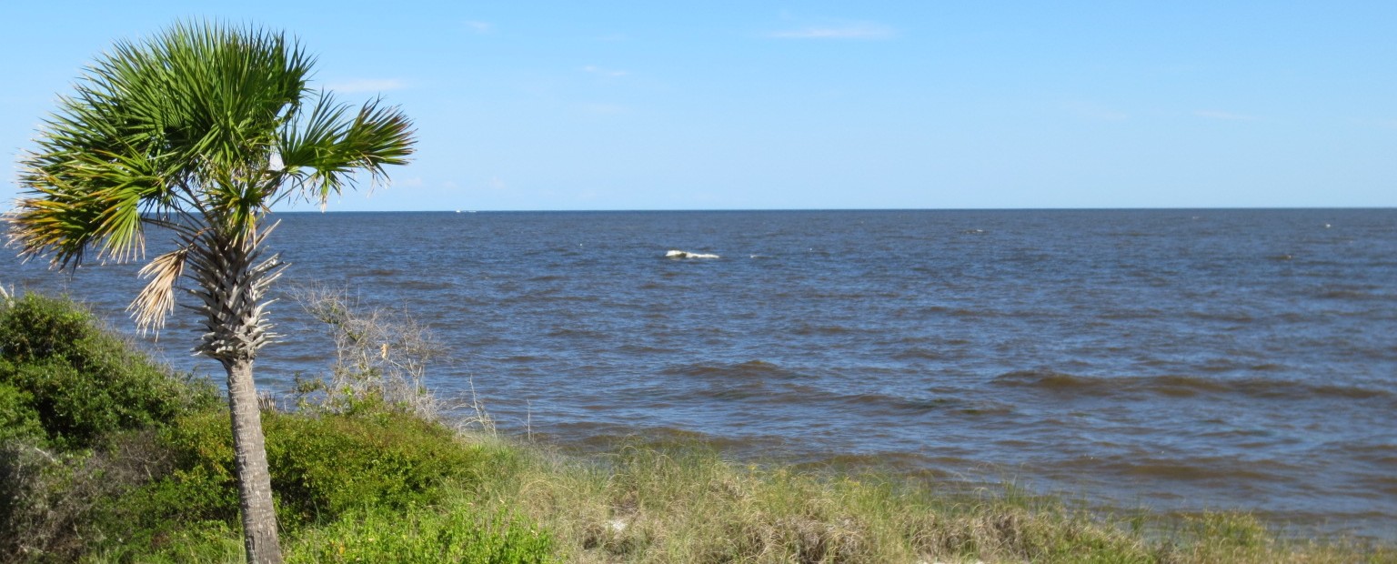 Gulf of Mexico